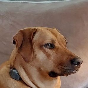 Meet your Posher, Lynne